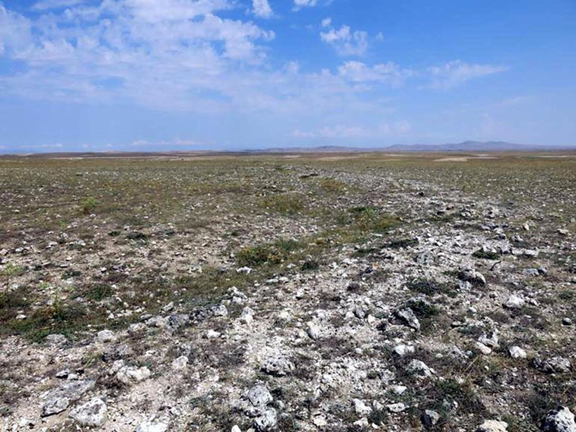 Türkiye'de tesadüfen bulundu - Resim: 3