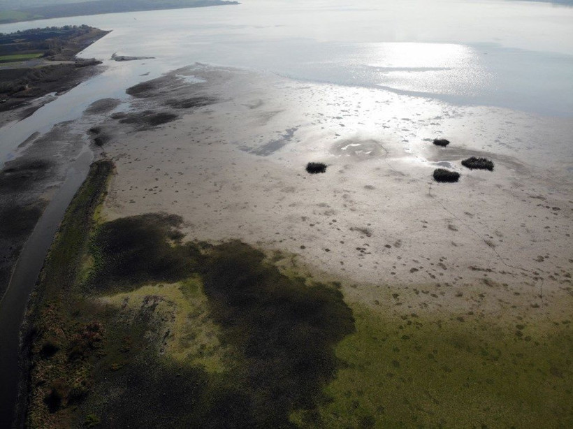 İstanbul susuz mu kalıyor! Büyükçekmece Gölü’nde sular çekildi - Resim: 2