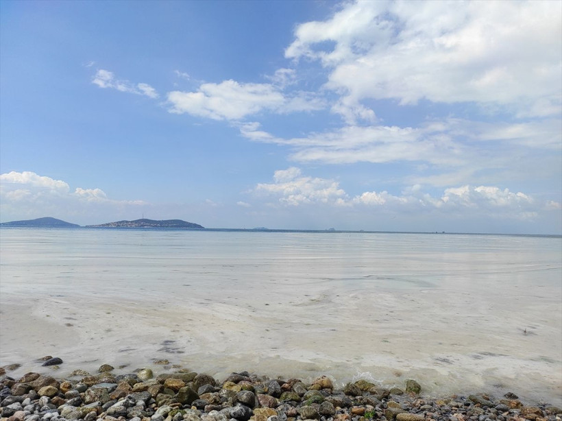 Caddebostan Sahili'nde durum korkunç! Müsilaj yoğunluğu arttı - Resim: 1