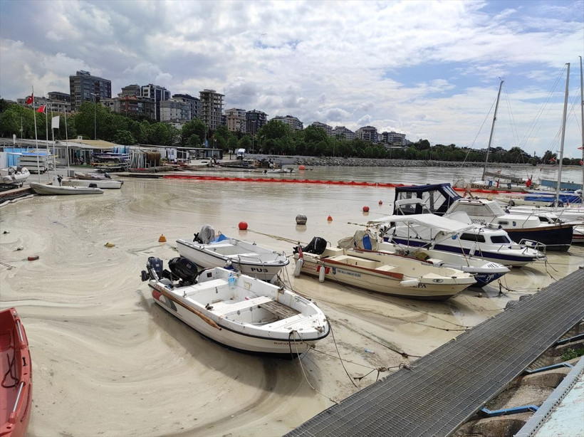 Caddebostan Sahili'nde durum korkunç! Müsilaj yoğunluğu arttı - Resim: 2