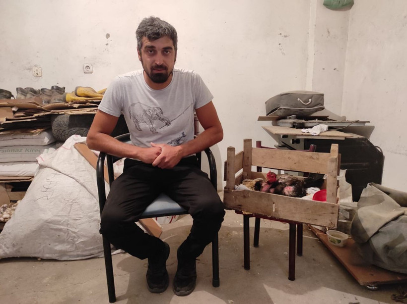 Elazığ'da kesmek için horoz aldı fark edince şok oldu! Duyanlar inanmayıp kümese geliyor - Resim: 1