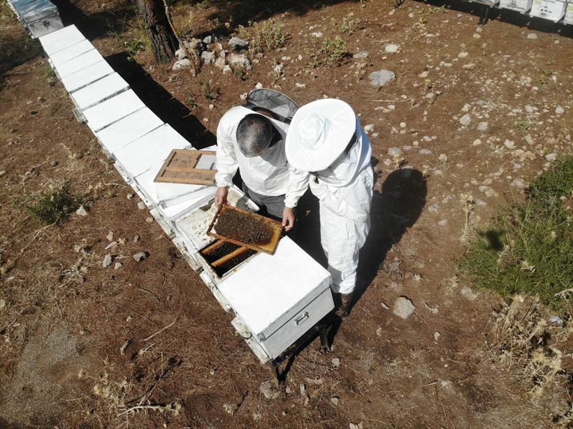 Muğla'da bu iş için mühendisliği terk etti! Paraya para demiyor: Acaba burada ne yapıyorlar? - Resim: 1