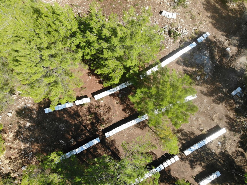 Muğla'da bu iş için mühendisliği terk etti! Paraya para demiyor: Acaba burada ne yapıyorlar? - Resim: 4