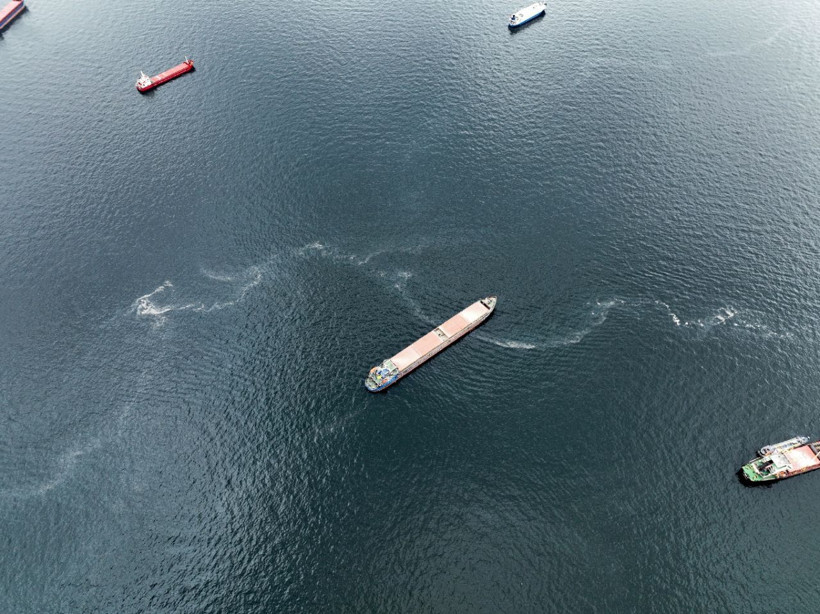 İstanbul'da deniz kirliliği! Müsilaj kabusu geri mi dönüyor? - Resim: 3