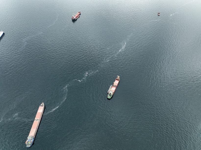 İstanbul'da deniz kirliliği! Müsilaj kabusu geri mi dönüyor? - Resim: 4