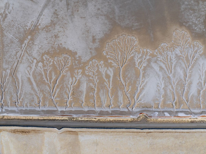 Acıgöl'ün ürküten hali! Türkiye'de tek Dünyada 2'inci olan göl kuruyunca ortaya çıktı - Resim: 4