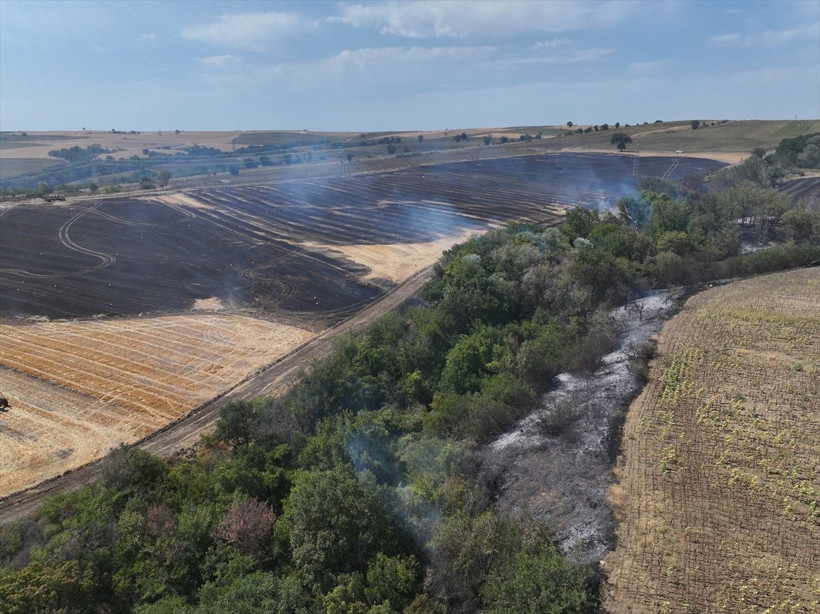 Edirne'de anızda başlayan yangın ağaçlık alana sıçramıştı! Yangın söndürüldü... - Resim: 1