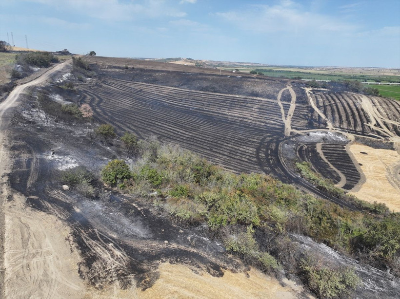 Edirne'de anızda başlayan yangın ağaçlık alana sıçramıştı! Yangın söndürüldü... - Resim: 2