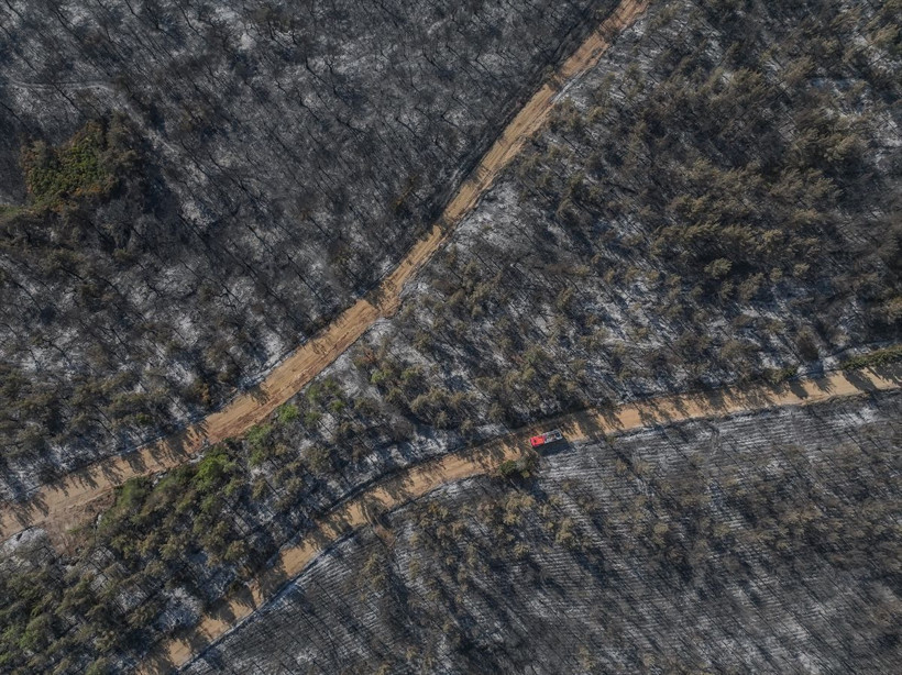 Çanakkale'de yangında zarar gören alanlar dronla görüntülendi - Resim: 2