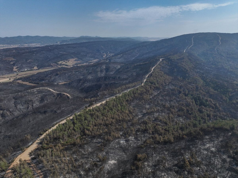 Çanakkale'de yangında zarar gören alanlar dronla görüntülendi - Resim: 1