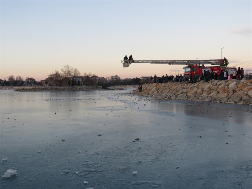 Konya'da gölde donup sıkışan martı kurtarıldı - Resim: 3