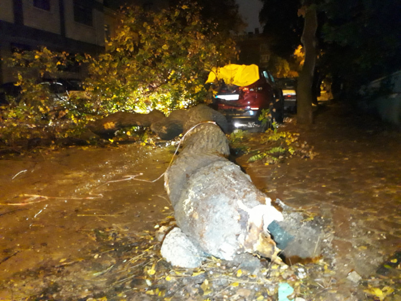 Sağanak hazırlıksız yakaladı! Ağaçlar devrildi sel bastı - Resim: 1