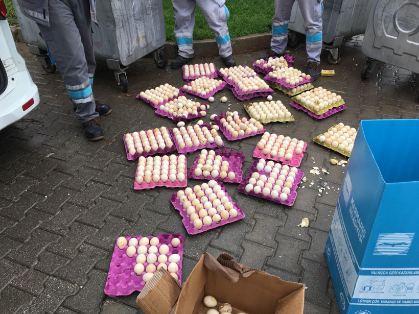 Çöpe atılan yumurtalardan civciv çıktı! - Resim: 3