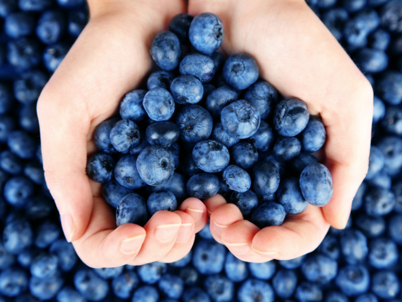 Yaban Mersini'nin faydaları nelerdir? İşte 7 önemli faydası... - Resim: 4