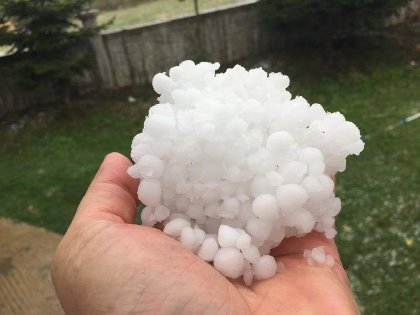 Ordu'da dolu afeti - Resim: 1