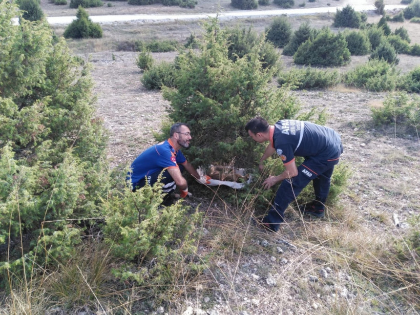 Kuyuya düşen tilkiyi AFAD kurtardı - Resim: 3