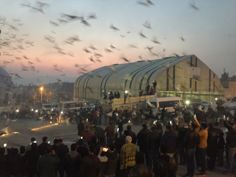 Şanlıurfa'da binlerce güvercin gökyüzüne bırakıldı - Resim: 1