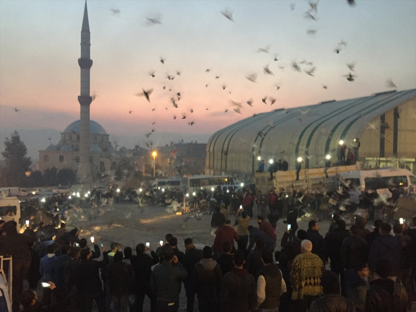 Şanlıurfa'da binlerce güvercin gökyüzüne bırakıldı - Resim: 2