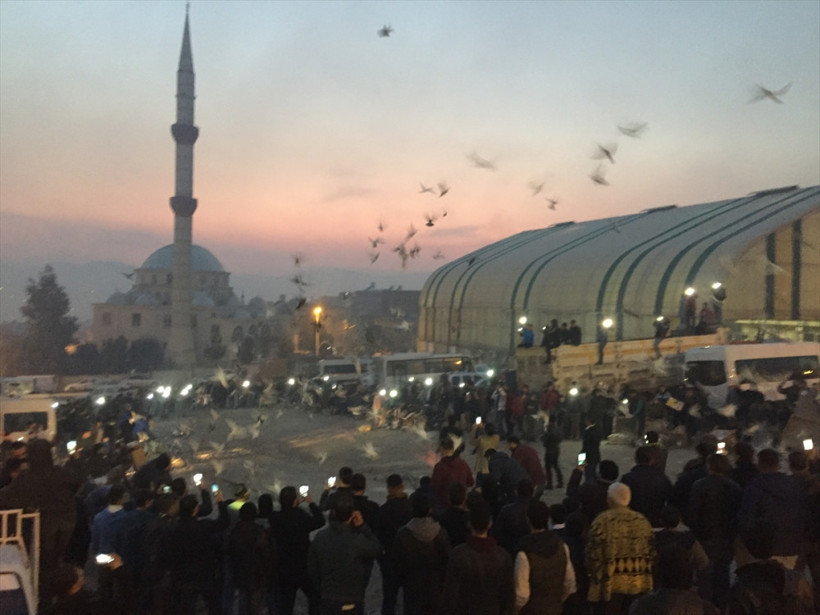 Şanlıurfa'da binlerce güvercin gökyüzüne bırakıldı - Resim: 3