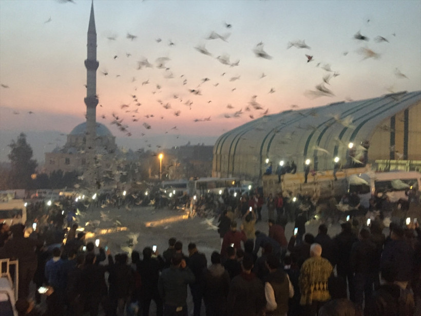 Şanlıurfa'da binlerce güvercin gökyüzüne bırakıldı - Resim: 4