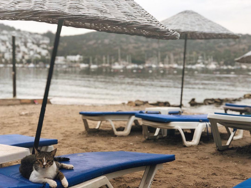 Meteoroloji iki bölgeyi uyardı! Fırtına ve yağmur etkili olacak - Resim: 3