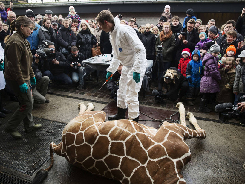 Çocukların önünde kesilip aslanlara atıldı - Resim: 2