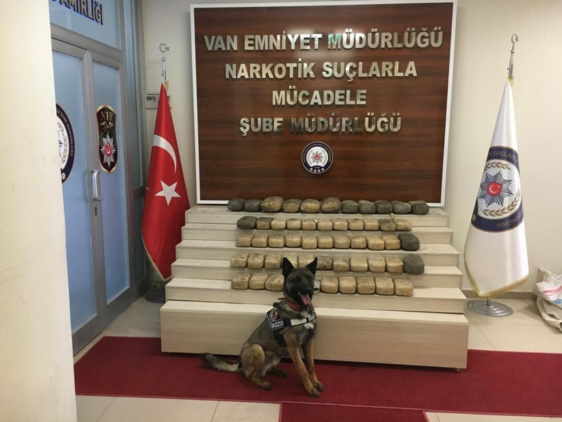 Yardım kömürünün içinden çıkanlar herkesi şok etti - Resim: 4