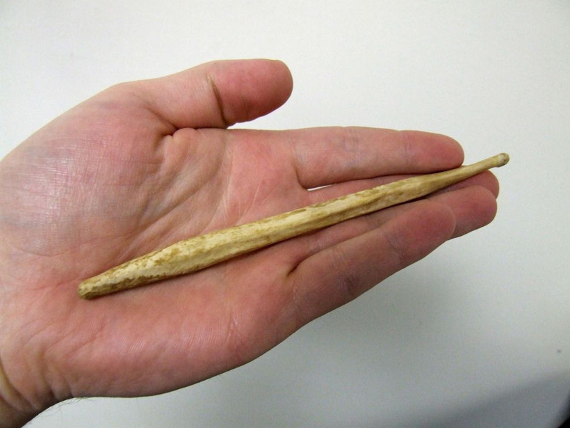 İnsanların penis kemiği ortaya çıktı dünyada bir ilk İngilizler buldu - Resim: 3