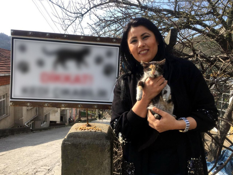 Zonguldak'ta sürücüler için "Dikkat kedi çıkabilir" tabelası astı - Resim: 1