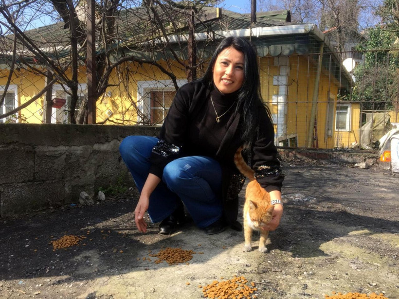 Zonguldak'ta sürücüler için "Dikkat kedi çıkabilir" tabelası astı - Resim: 4