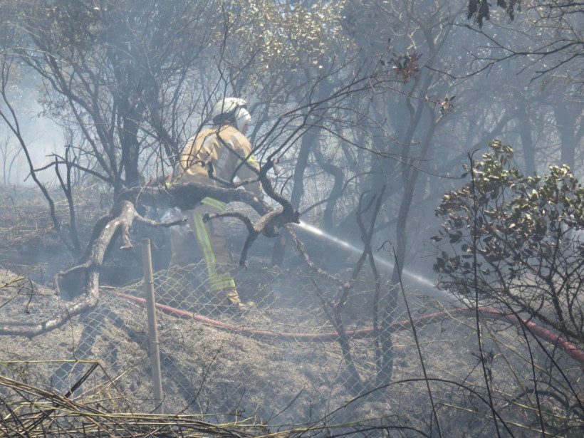 İstanbul TEM otoyolu Kavacık'ta orman yangını Helikopter desteği istendi - Resim: 1