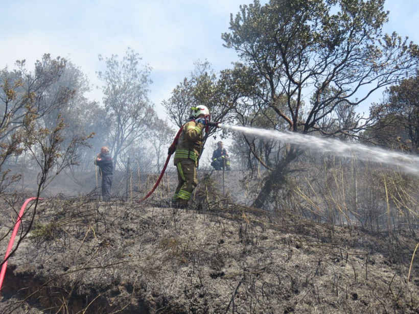 İstanbul TEM otoyolu Kavacık'ta orman yangını Helikopter desteği istendi - Resim: 4