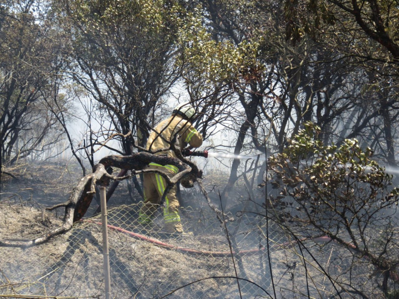 İstanbul TEM otoyolu Kavacık'ta orman yangını Helikopter desteği istendi - Resim: 2