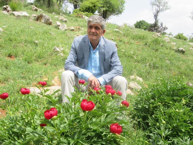 Ayı Gülü diye biliniyor! Bu gülü koparana 60 bin lira ceza var - Resim: 3