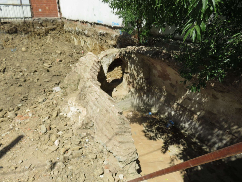 Üsküdar'da bulundu yetkililer koruma altına aldı - Resim: 4