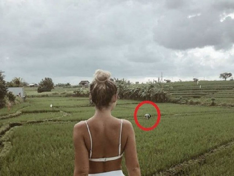 Sosyal  medya fenomenin tarladaki pozu ortalığı karıştırdı - Resim: 4