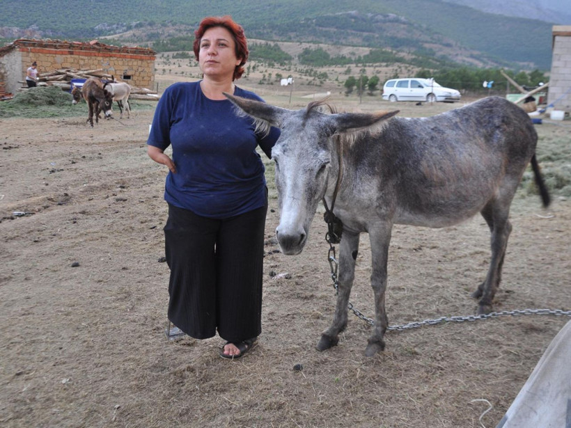 Kanser hastası eşine içirdi eşi iyileşti çiftliğini kurdu Türkiye'nin her yerinden talep var - Resim: 4