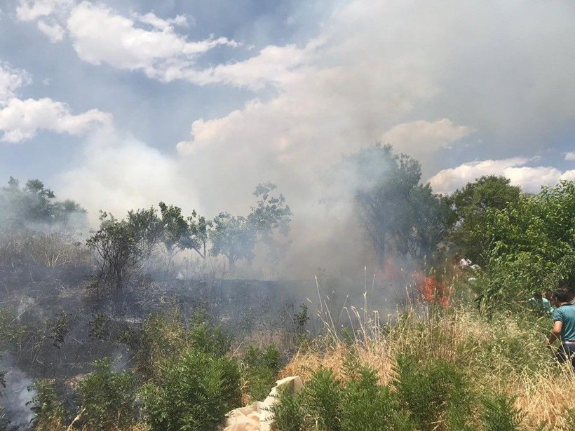Siirt'te yangın fıstık bahçelerine sıçradı bir çok ağaç yandı - Resim: 1
