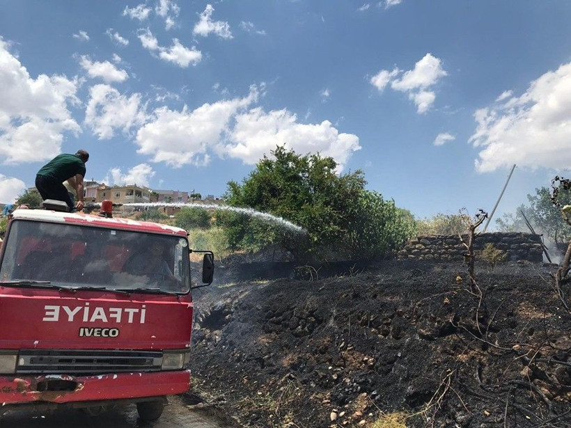 Siirt'te yangın fıstık bahçelerine sıçradı bir çok ağaç yandı - Resim: 2