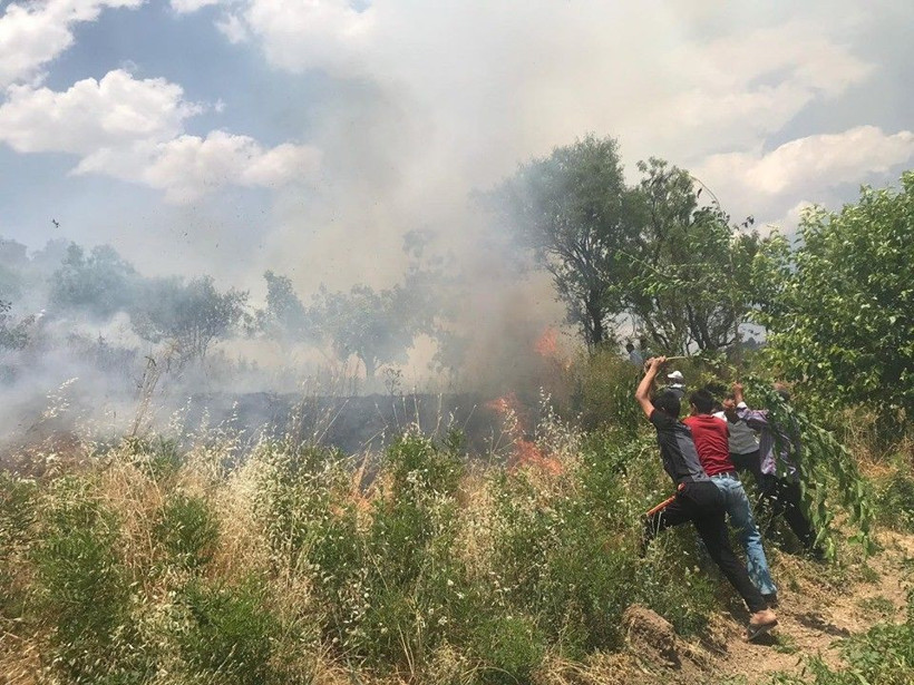 Siirt'te yangın fıstık bahçelerine sıçradı bir çok ağaç yandı - Resim: 3