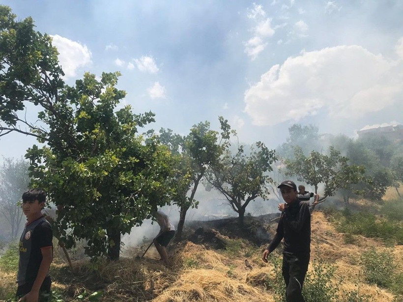 Siirt'te yangın fıstık bahçelerine sıçradı bir çok ağaç yandı - Resim: 4