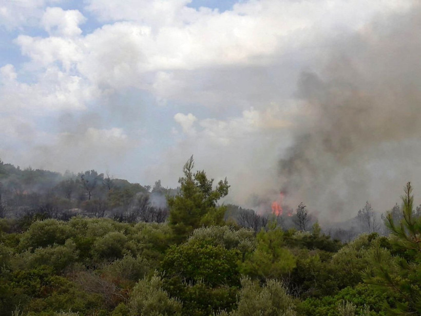 Muğla'da yeni yangın! Yerleşim yerlerini tehdit ediyor - Resim: 1
