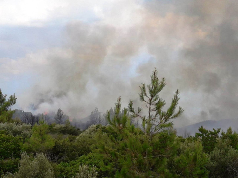 Muğla'da yeni yangın! Yerleşim yerlerini tehdit ediyor - Resim: 2