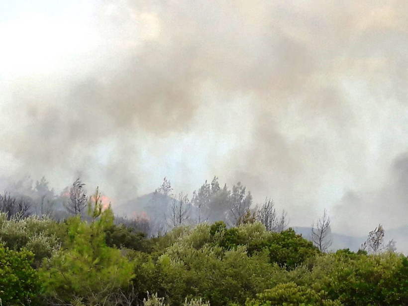 Muğla'da yeni yangın! Yerleşim yerlerini tehdit ediyor - Resim: 3