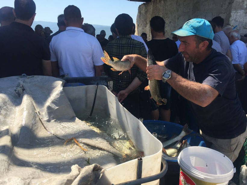 Bursa'da 100 yıldır bu iş yapılıyor! Tutulan balıklar açık artırmayla satılıyor - Resim: 1