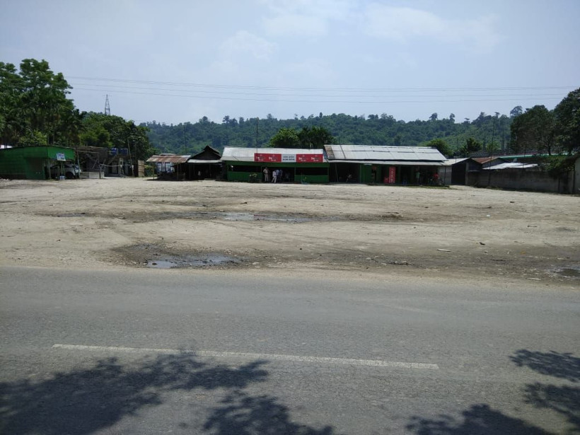 Selden kaçan kaplan eve sığındı ev sahiplerinin halini bir düşünün - Resim: 4