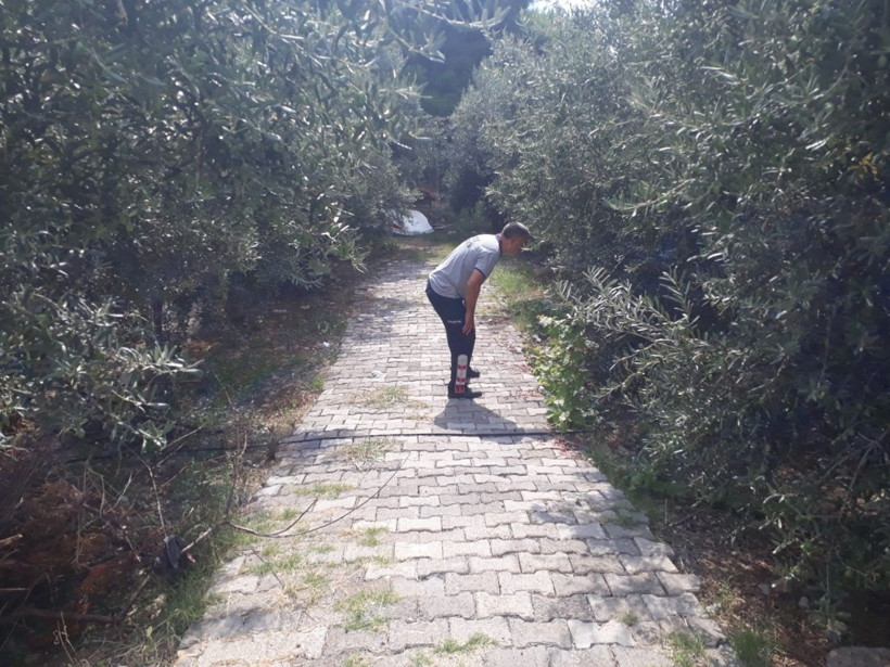 Günlerdir boynunda kavanoz parçası ile yaşıyordu! Sonunda kurtarıldı - Resim: 2