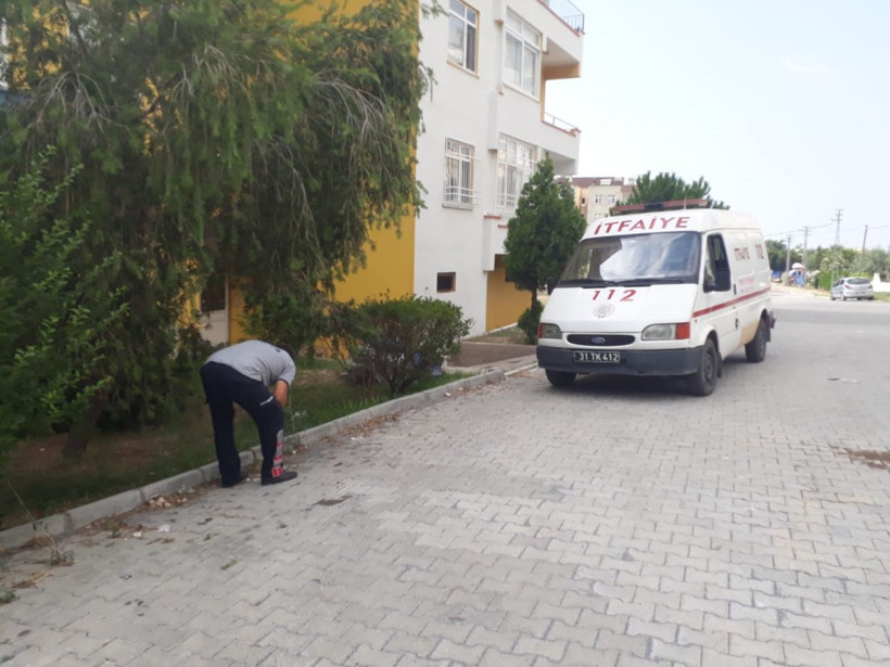 Günlerdir boynunda kavanoz parçası ile yaşıyordu! Sonunda kurtarıldı - Resim: 3