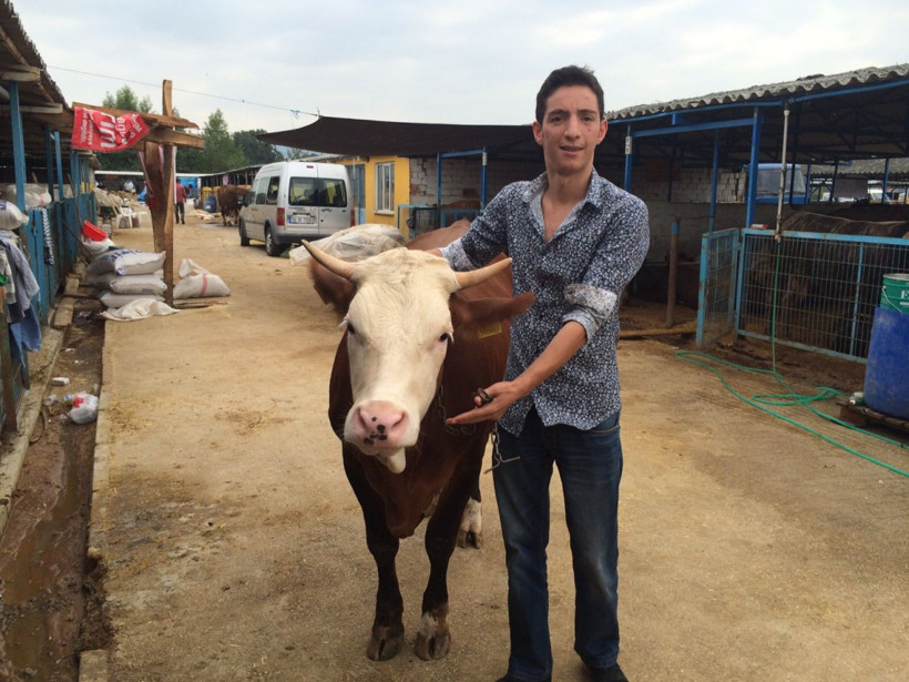 Kurban alırken nelere dikkat edilmeli! Basit gözlemlerle doğru kurbanı seçebilirsiniz - Resim: 3