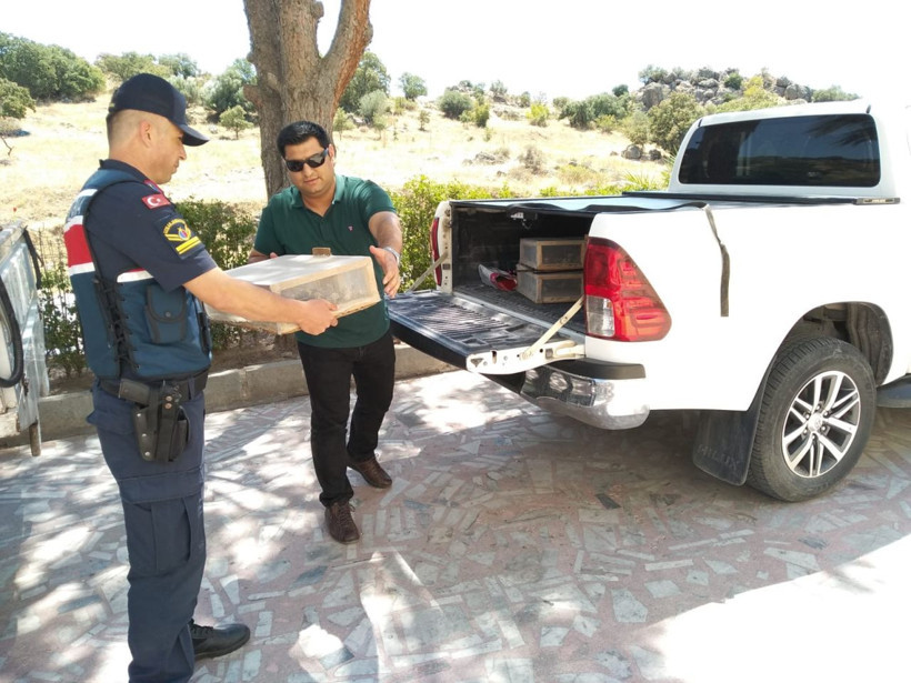 Saka kuşu yakalama cezası 81 bin 795 lira! Yakalananlar da Suriyeli - Resim: 3